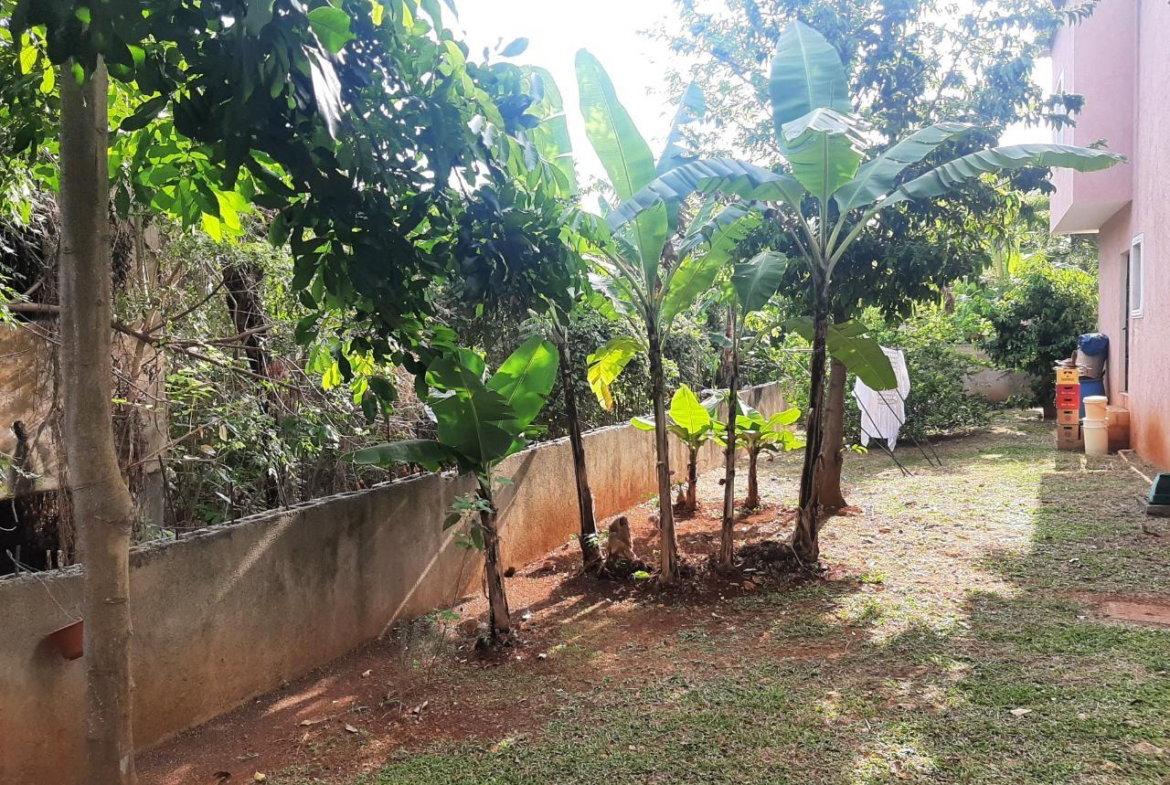 Eighteenth image of 2 Horatio Drive in Kingston 19, St. Andrew, Jamaica - property is For Sale