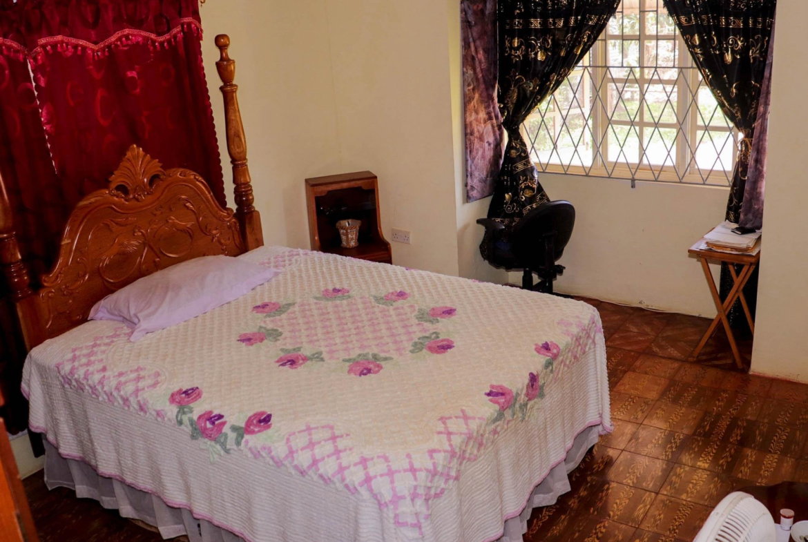 Seventh image of Land Settlement in Williamsfield, Manchester, Jamaica - property is For Sale