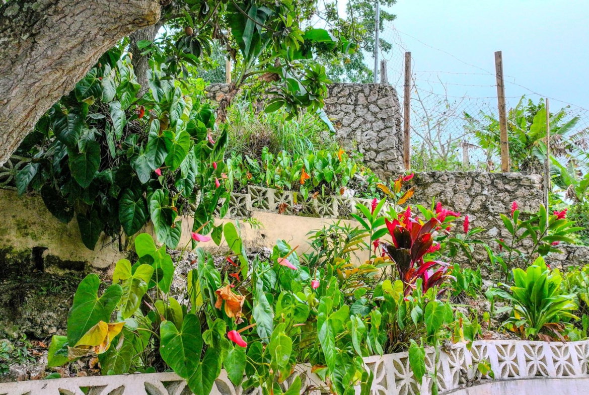 Fifth image of 32 Perth Road in Mandeville, Manchester, Jamaica - property is For Sale
