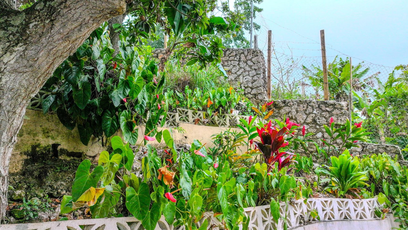 Fifth image of 32 Perth Road in Mandeville, Manchester, Jamaica - property is For Sale