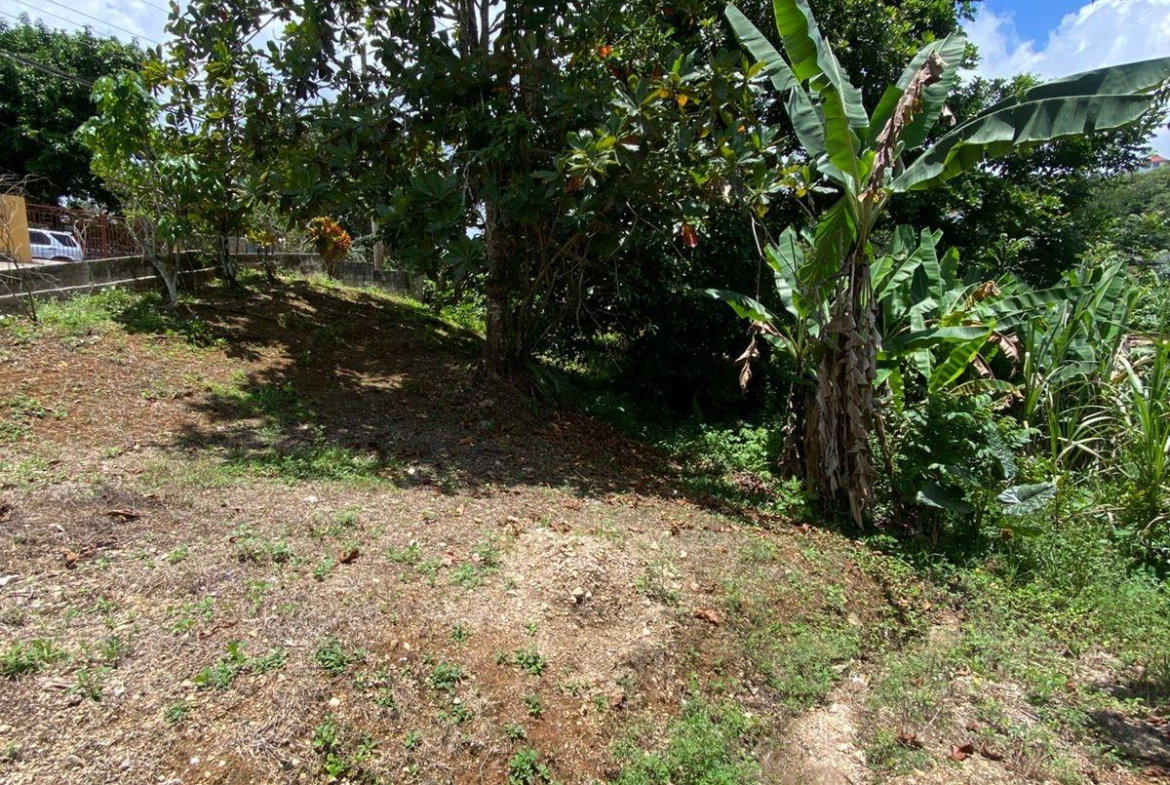 Fourteenth image of Lot 39 Kyle, Spaulding in Clandon, Manchester, Jamaica - property is For Sale