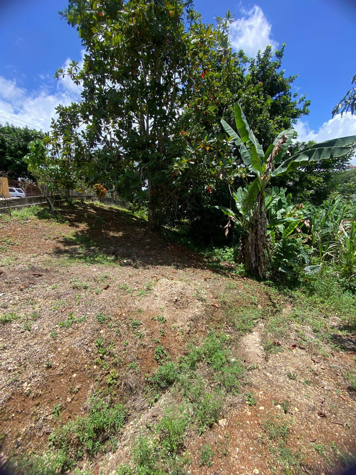 Fourteenth image of Lot 39 Kyle, Spaulding in Clandon, Manchester, Jamaica - property is For Sale
