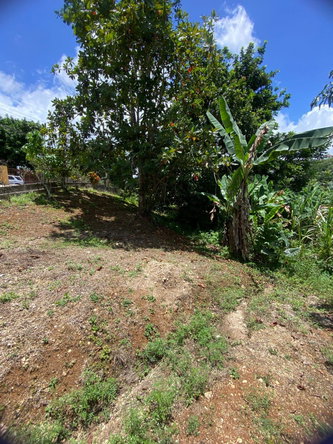 Fourteenth image of Lot 39 Kyle, Spaulding in Clandon, Manchester, Jamaica - property is For Sale