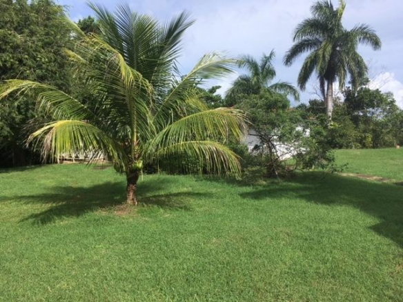 First image of 56-gibraltar Mango Tree Road in Oracabessa, St. Mary, Jamaica - property is For Rent