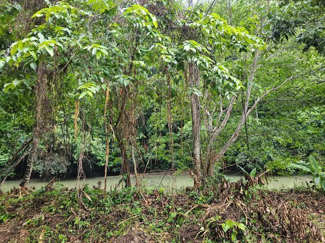 Commercial-Lot-for-Sale-in-Tweedside-Hanover-Jamaica-Great-River-Area Second image of Part of Tweedside in Hopewell, Hanover, Jamaica - property is For Sale