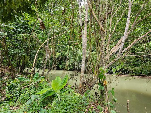 Third image of Part of Tweedside in Hopewell, Hanover, Jamaica - property is For Sale