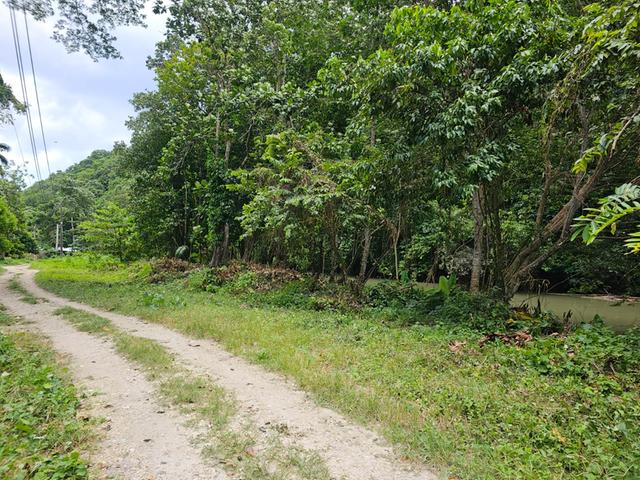 Commercial-Lot-for-Sale-in-Tweedside-Hanover-Jamaica-Great-River-Area Fourth image of Part of Tweedside in Hopewell, Hanover, Jamaica - property is For Sale