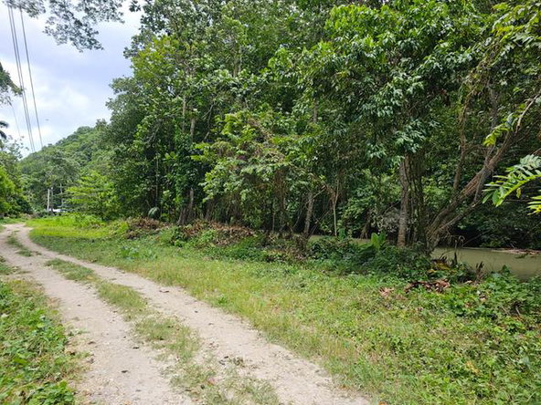 Fourth image of Part of Tweedside in Hopewell, Hanover, Jamaica - property is For Sale