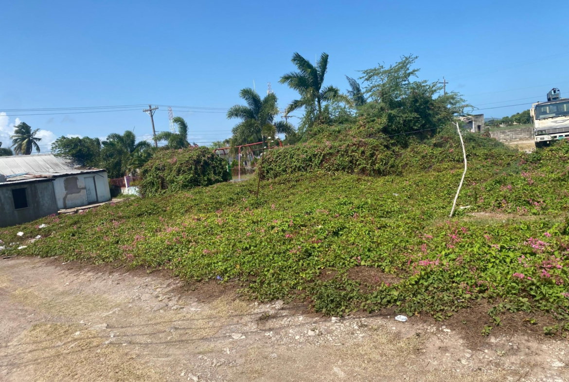 Fourth image of Part of Racecourse in Race Course, Clarendon, Jamaica - property is For Sale