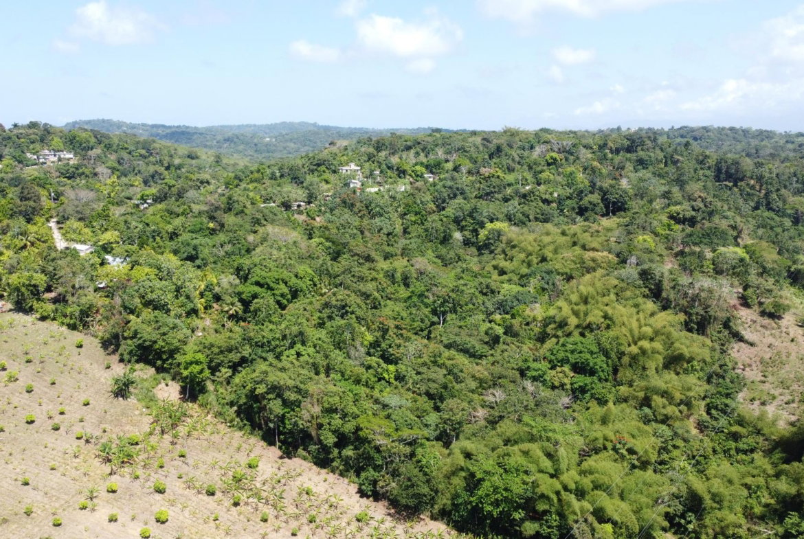 Second image of 115 & 116 Heywood Hall in Heywood Hall, St. Mary, Jamaica - property is For Sale