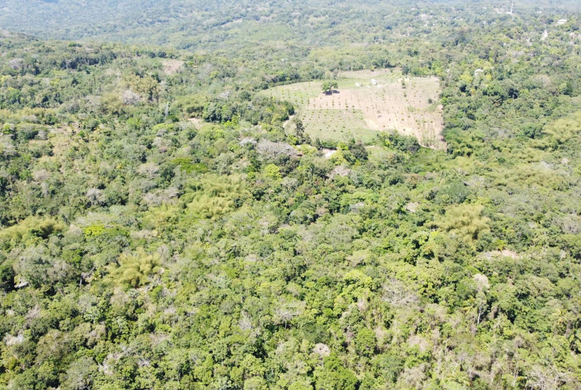 Fourth image of 115 & 116 Heywood Hall in Heywood Hall, St. Mary, Jamaica - property is For Sale