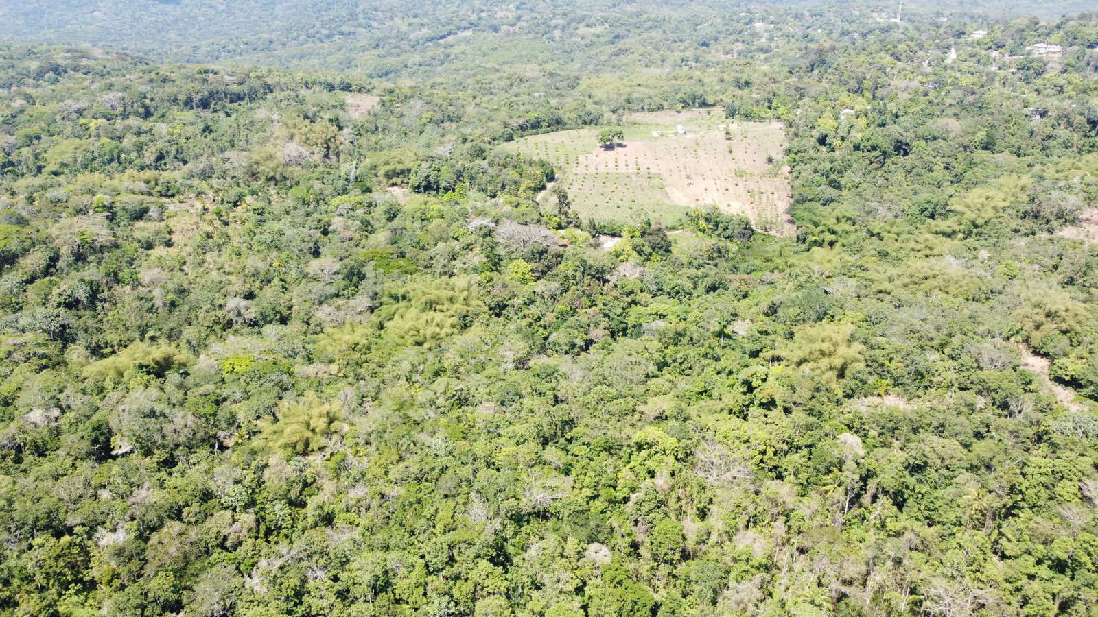 Development-Land-for-Sale-at-Heywood-Hall-St.-Mary-Jamaica-Lots-115-116 Fourth image of 115 & 116 Heywood Hall in Heywood Hall, St. Mary, Jamaica - property is For Sale