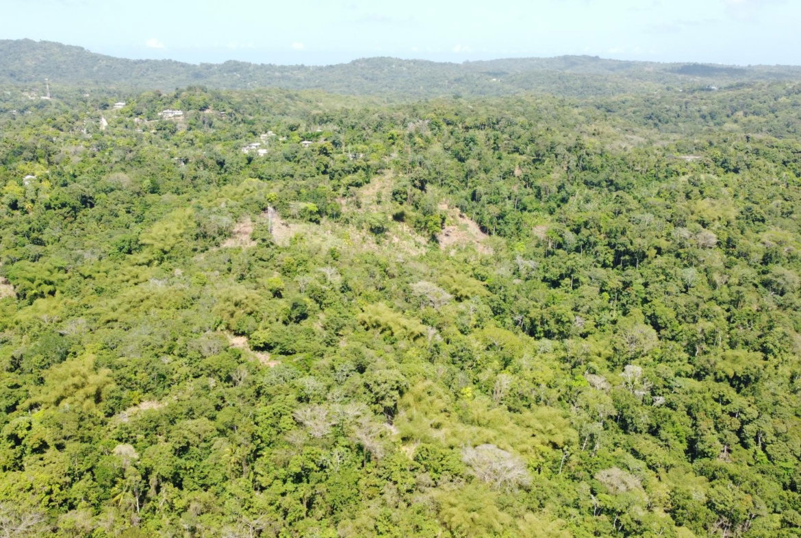 Fifth image of 115 & 116 Heywood Hall in Heywood Hall, St. Mary, Jamaica - property is For Sale