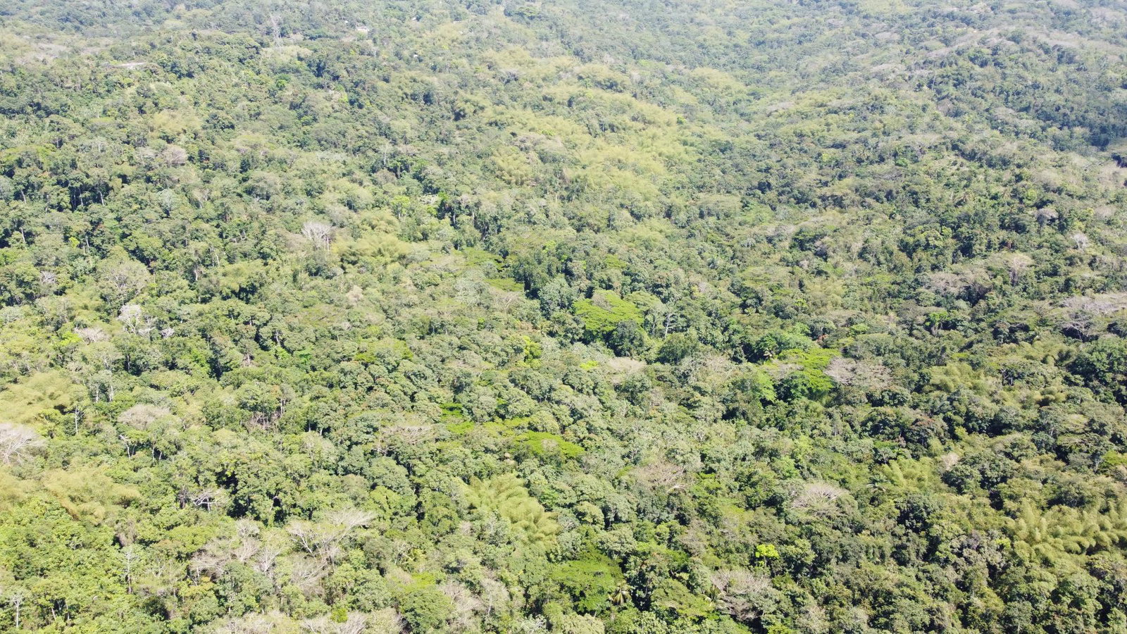 Development-Land-for-Sale-at-Heywood-Hall-St.-Mary-Jamaica-Lots-115-116 Sixth image of 115 & 116 Heywood Hall in Heywood Hall, St. Mary, Jamaica - property is For Sale