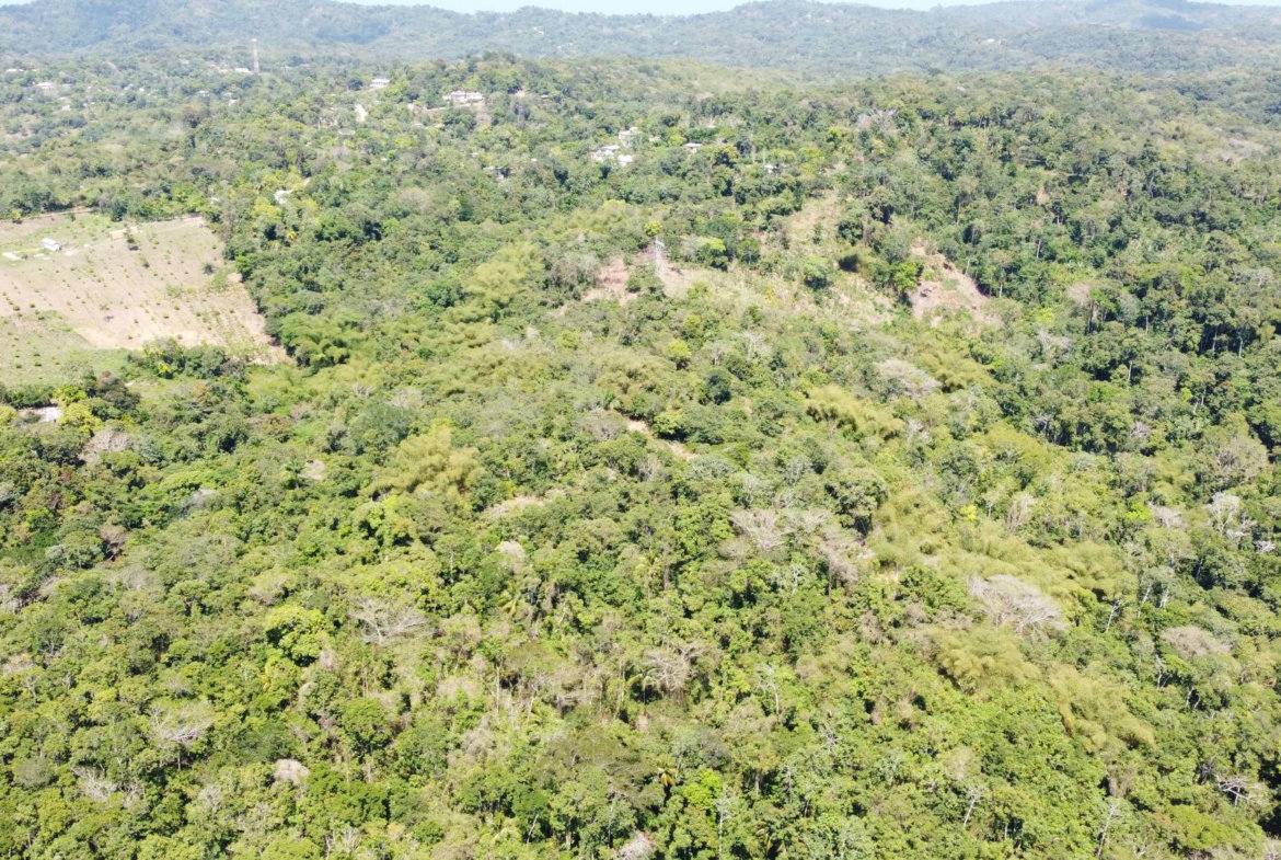 Seventh image of 115 & 116 Heywood Hall in Heywood Hall, St. Mary, Jamaica - property is For Sale