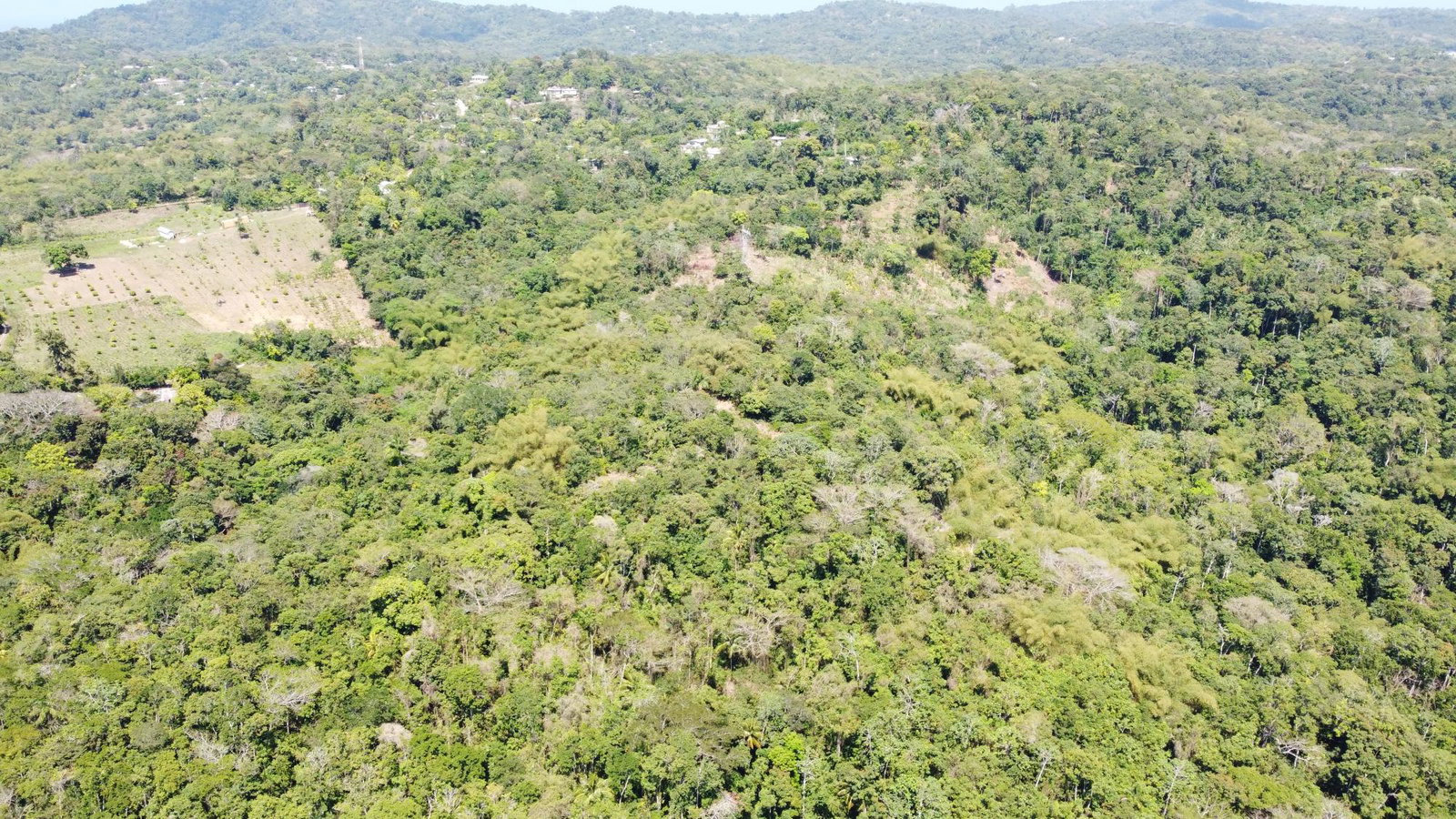 Development-Land-for-Sale-at-Heywood-Hall-St.-Mary-Jamaica-Lots-115-116 Seventh image of 115 & 116 Heywood Hall in Heywood Hall, St. Mary, Jamaica - property is For Sale
