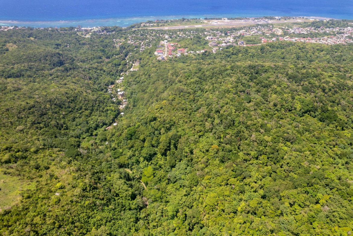 Second image of 1 Union Pen in Boscobel, St. Mary, Jamaica - property is For Sale
