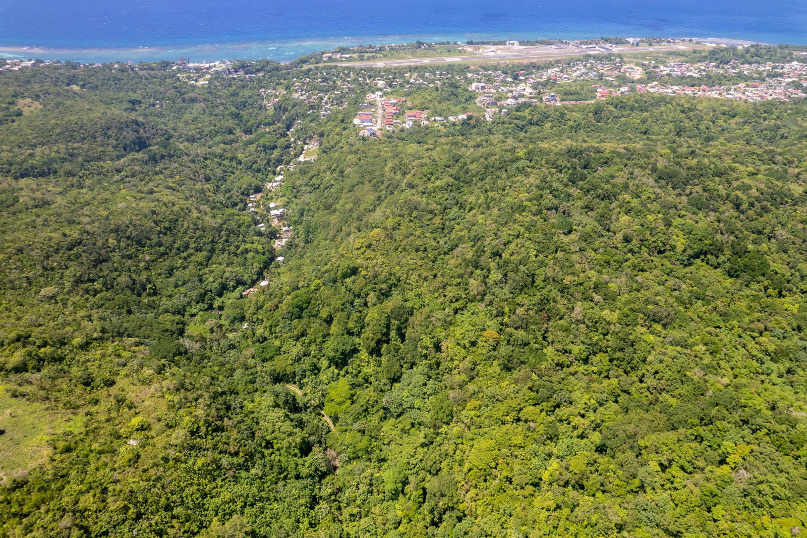 Development-Land-for-Sale-in-Boscobel-St.-Mary-–-36-Acres-with-Ocean-Views Second image of 1 Union Pen in Boscobel, St. Mary, Jamaica - property is For Sale