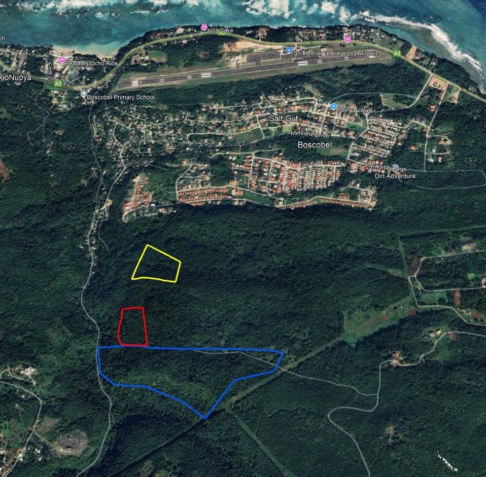 Development-Land-for-Sale-in-Boscobel-St.-Mary-–-36-Acres-with-Ocean-Views Eleventh image of 1 Union Pen in Boscobel, St. Mary, Jamaica - property is For Sale