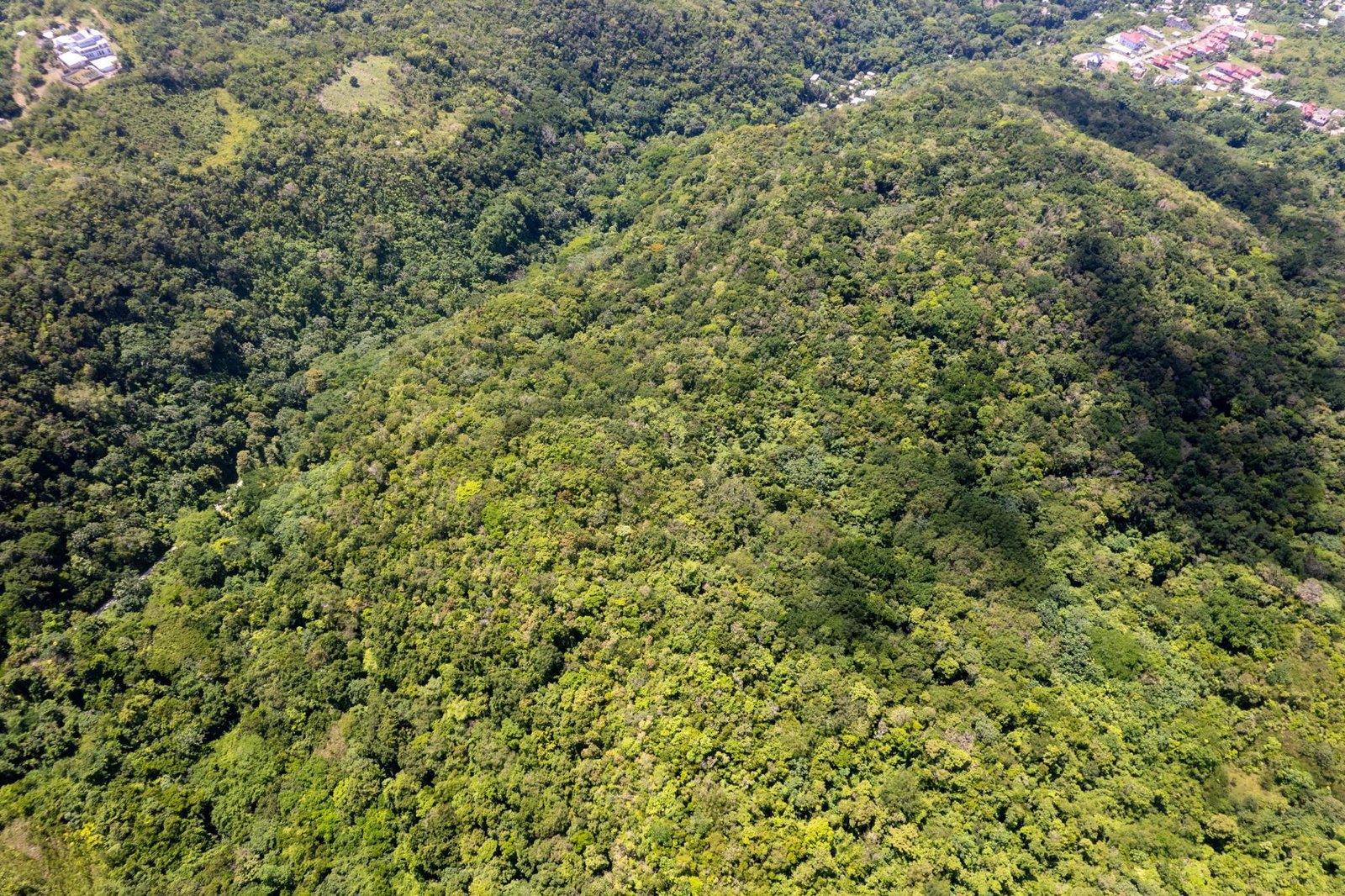 Development-Land-for-Sale-in-Boscobel-St.-Mary-–-36-Acres-with-Ocean-Views Fourth image of 1 Union Pen in Boscobel, St. Mary, Jamaica - property is For Sale