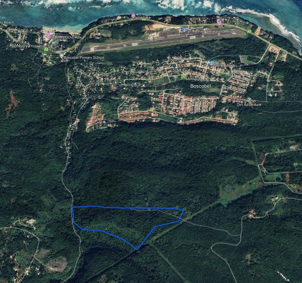 Development-Land-for-Sale-in-Boscobel-St.-Mary-–-36-Acres-with-Ocean-Views Fifth image of 1 Union Pen in Boscobel, St. Mary, Jamaica - property is For Sale
