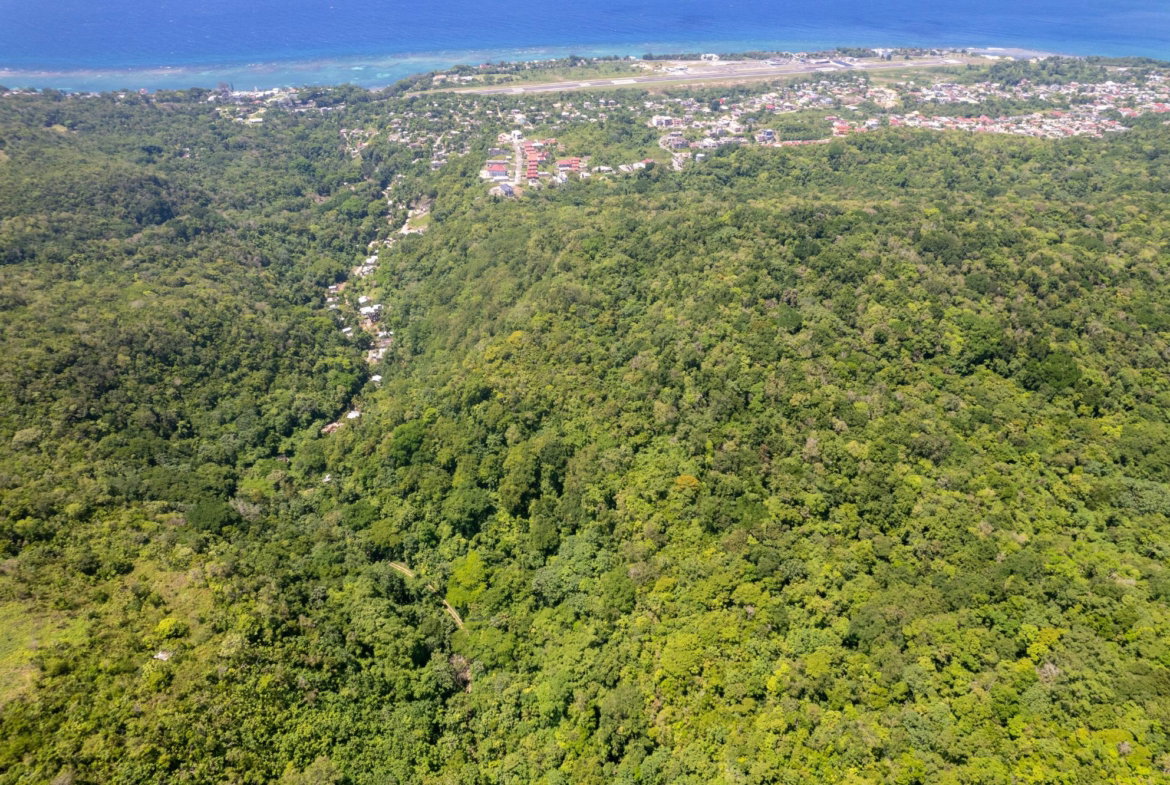 Sixth image of 1 Union Pen in Boscobel, St. Mary, Jamaica - property is For Sale