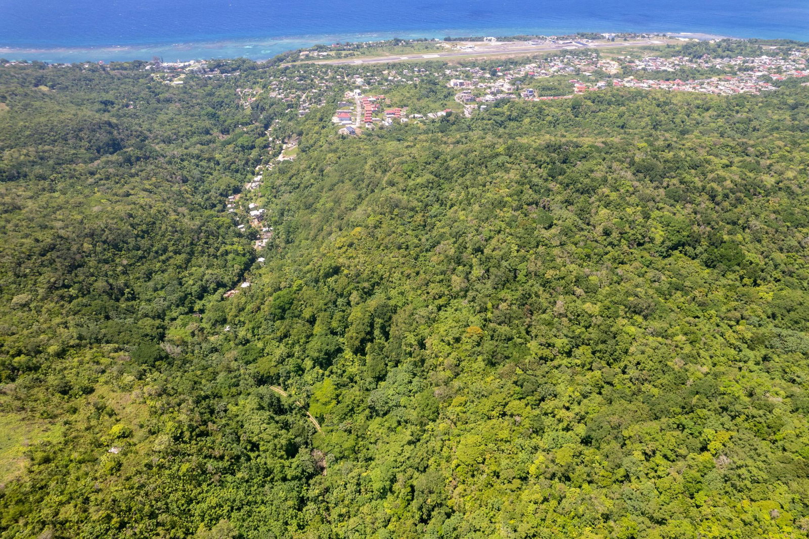 Development-Land-for-Sale-in-Boscobel-St.-Mary-–-36-Acres-with-Ocean-Views Sixth image of 1 Union Pen in Boscobel, St. Mary, Jamaica - property is For Sale