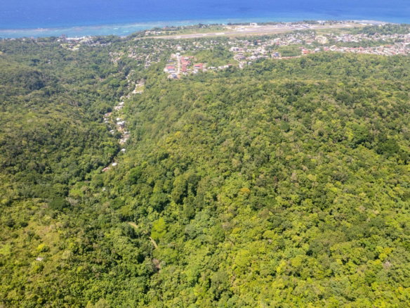 First image of 1 Union Pen in Boscobel, St. Mary, Jamaica - property is For Sale