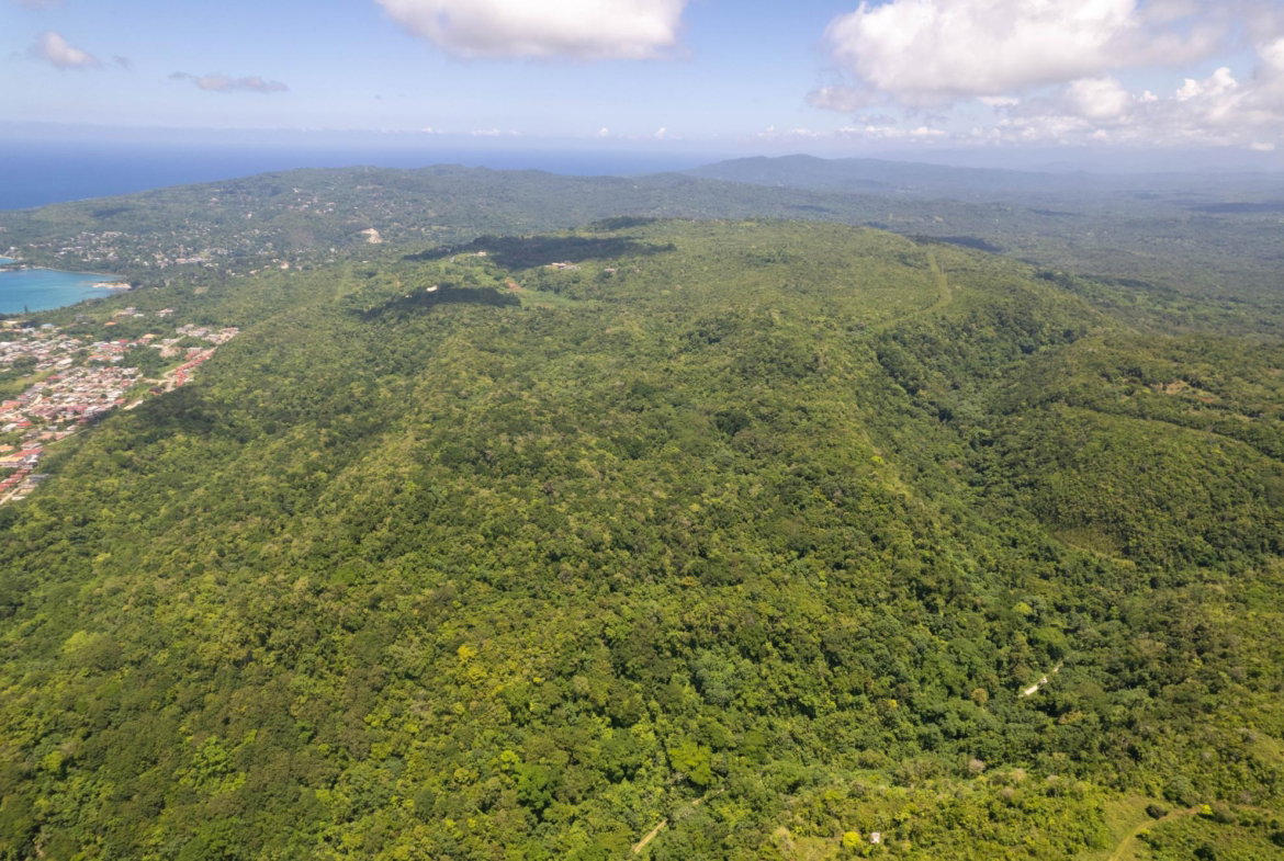 Seventh image of 1 Union Pen in Boscobel, St. Mary, Jamaica - property is For Sale