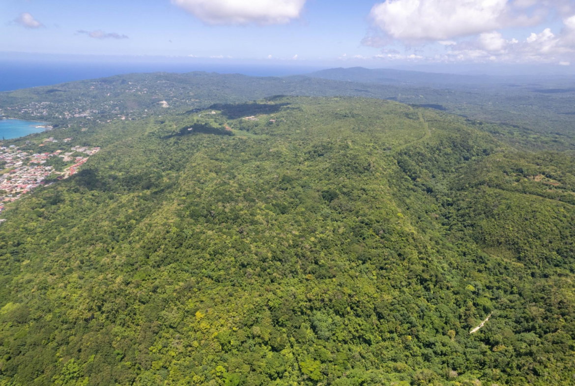 Eighth image of 1 Union Pen in Boscobel, St. Mary, Jamaica - property is For Sale