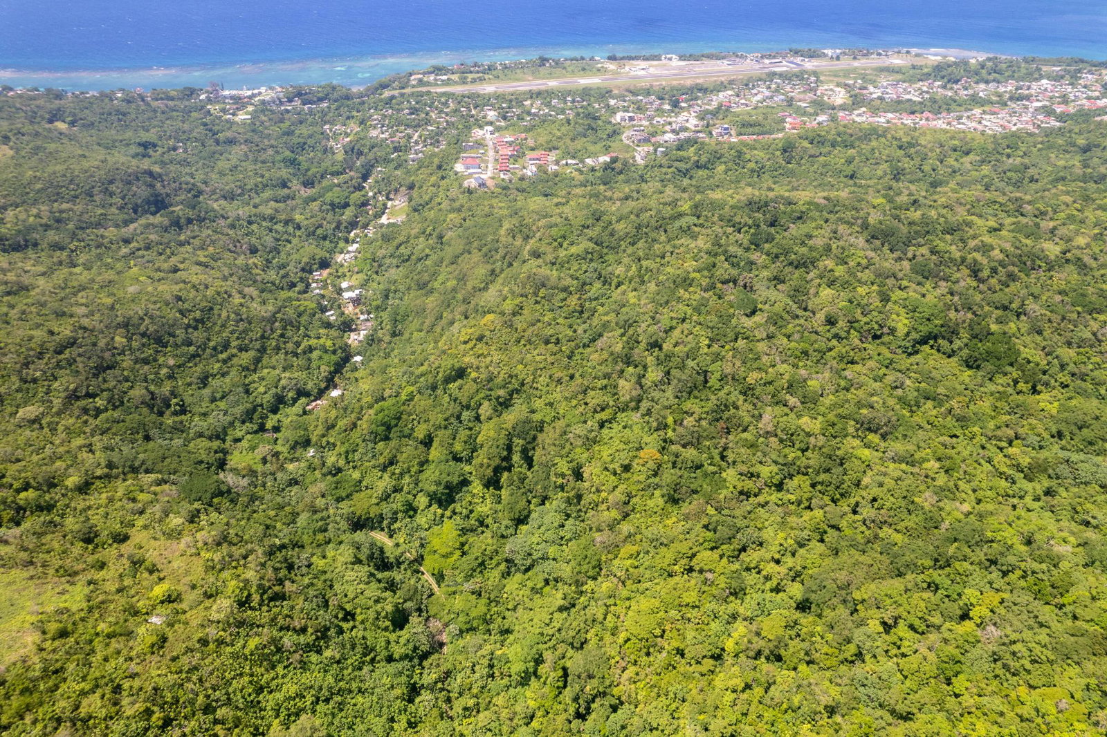 Development-Land-for-Sale-in-Boscobel-St.-Mary-–-36-Acres-with-Ocean-Views First image of 1 Union Pen in Boscobel, St. Mary, Jamaica - property is For Sale