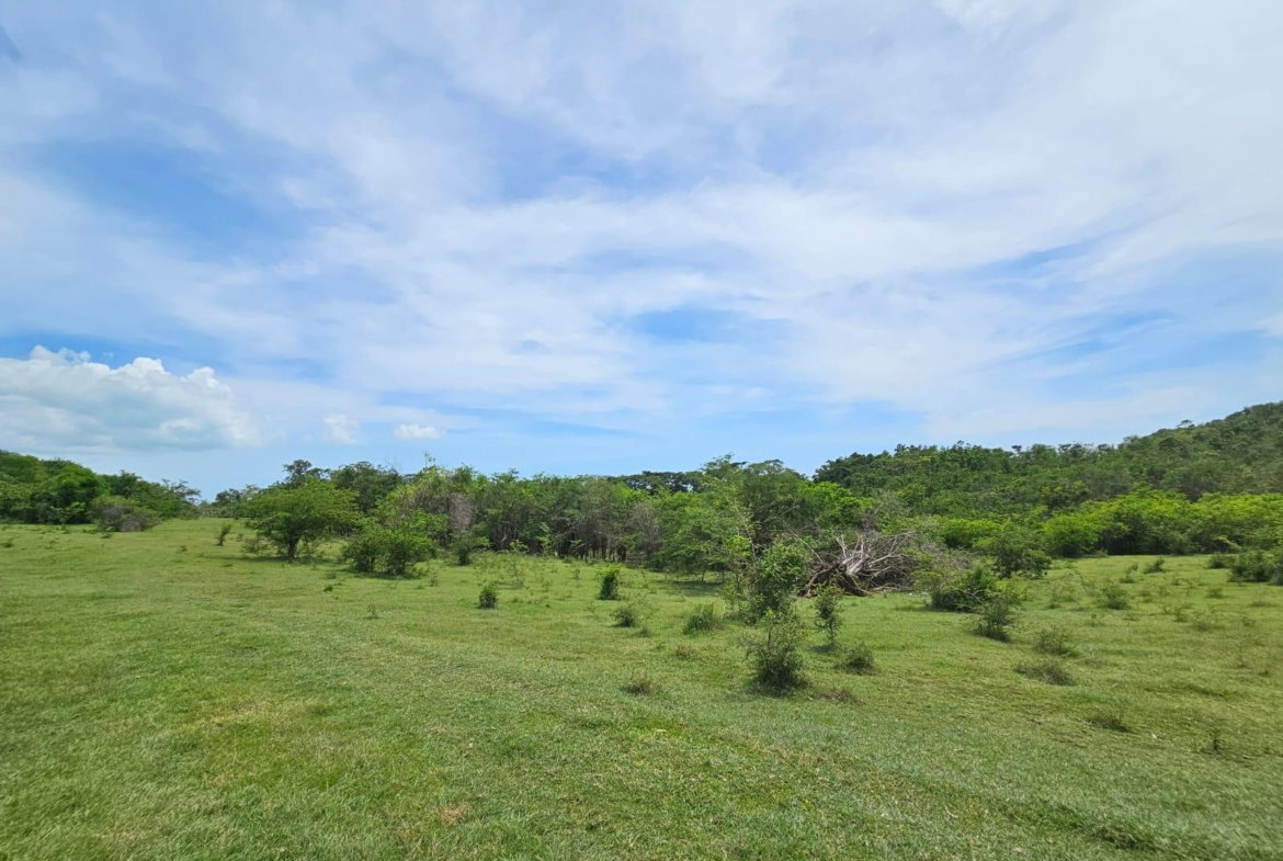 Second image of Friendship in Friendship, St. Elizabeth, Jamaica - property is For Sale