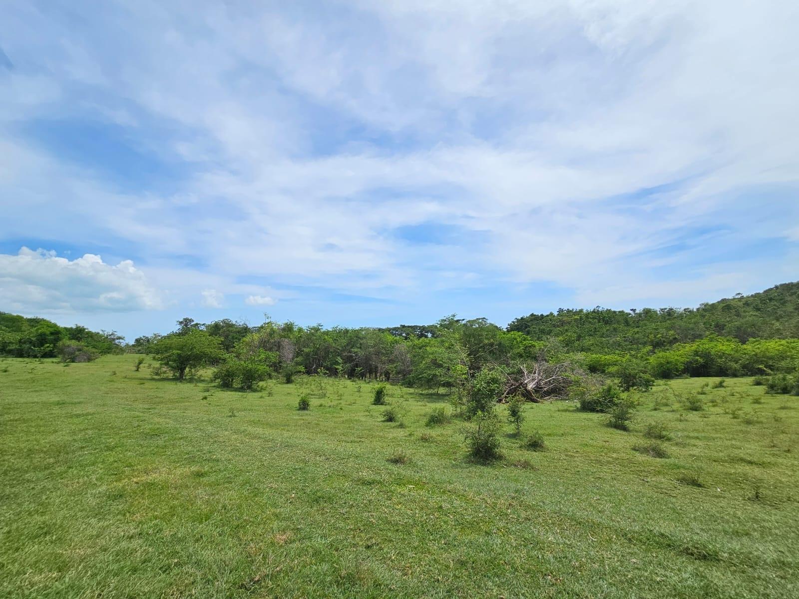 Second image of Friendship in Friendship, St. Elizabeth, Jamaica - property is For Sale