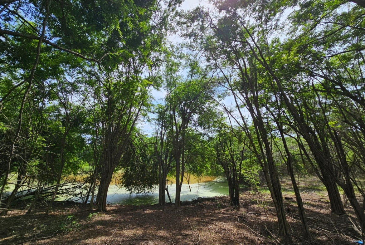 Eleventh image of Friendship in Friendship, St. Elizabeth, Jamaica - property is For Sale