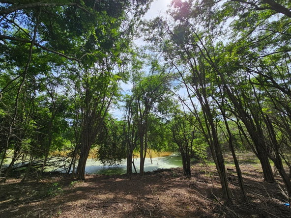 Eleventh image of Friendship in Friendship, St. Elizabeth, Jamaica - property is For Sale