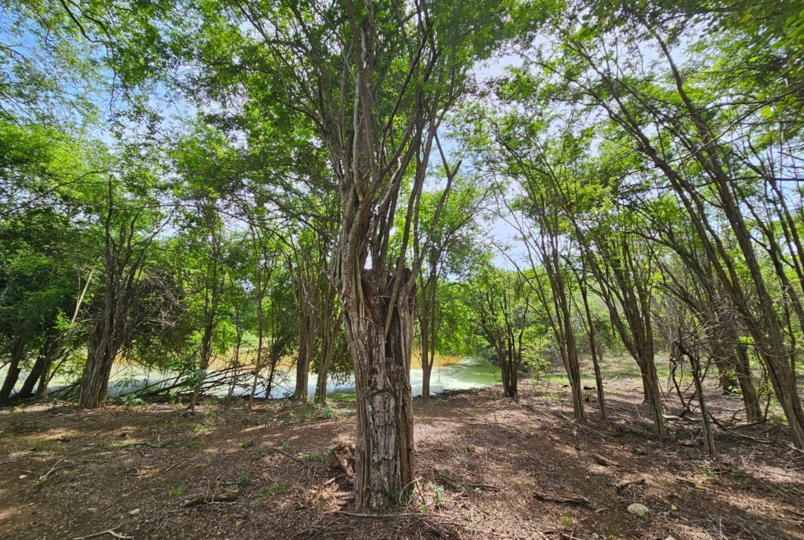 Twelfth image of Friendship in Friendship, St. Elizabeth, Jamaica - property is For Sale