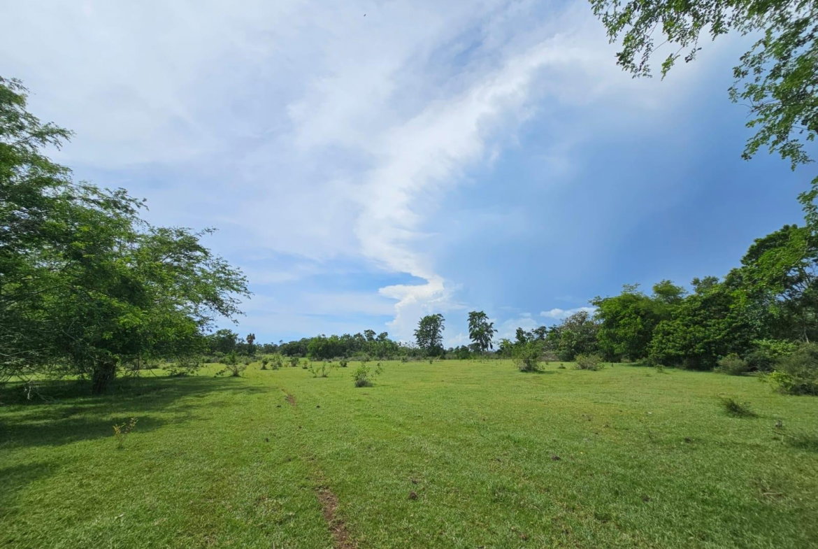 First image of Friendship in Friendship, St. Elizabeth, Jamaica - property is For Sale