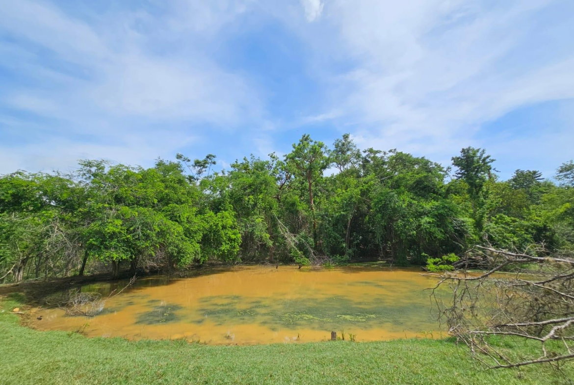 Thirteenth image of Friendship in Friendship, St. Elizabeth, Jamaica - property is For Sale