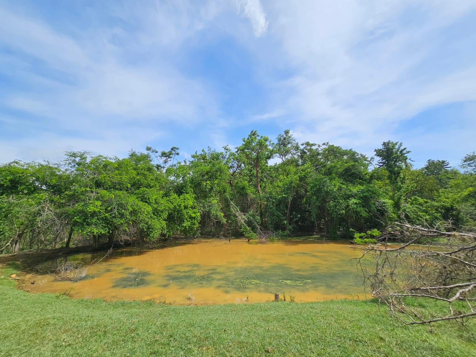 Thirteenth image of Friendship in Friendship, St. Elizabeth, Jamaica - property is For Sale
