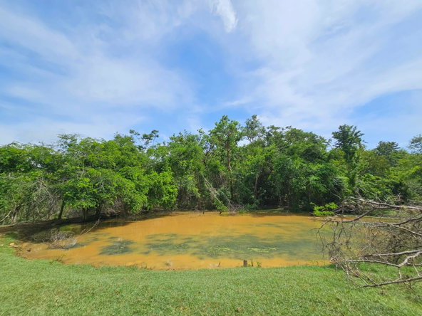 Thirteenth image of Friendship in Friendship, St. Elizabeth, Jamaica - property is For Sale