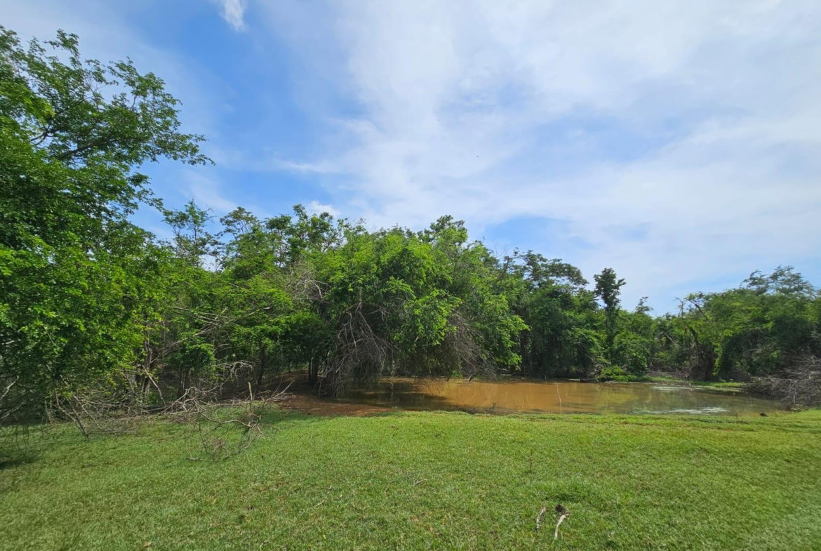 Fourteenth image of Friendship in Friendship, St. Elizabeth, Jamaica - property is For Sale