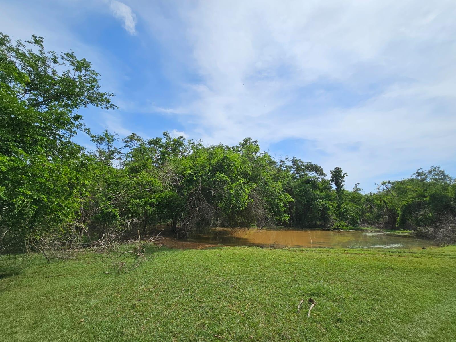 Fourteenth image of Friendship in Friendship, St. Elizabeth, Jamaica - property is For Sale
