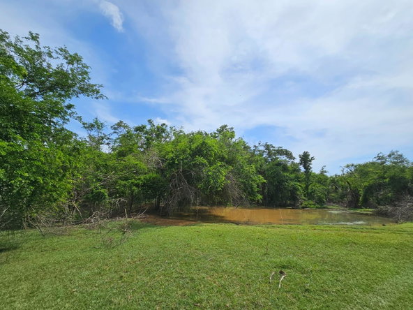 Fourteenth image of Friendship in Friendship, St. Elizabeth, Jamaica - property is For Sale