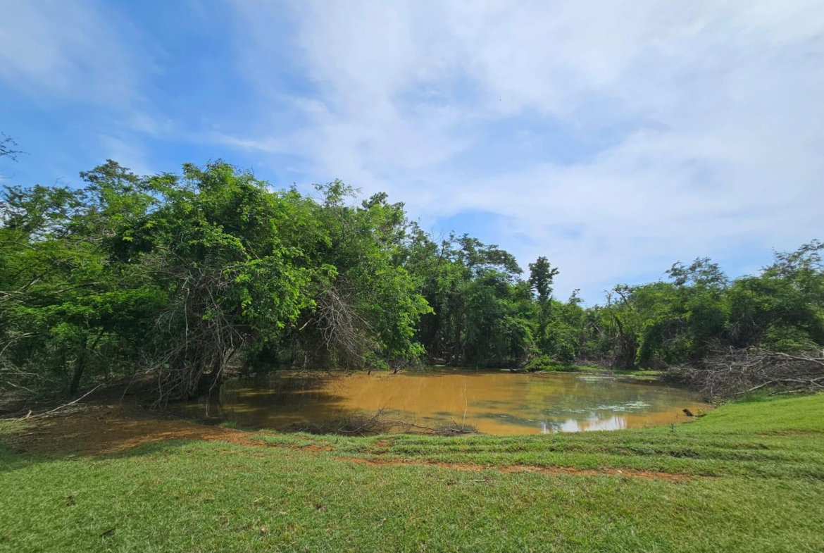 Fifteenth image of Friendship in Friendship, St. Elizabeth, Jamaica - property is For Sale