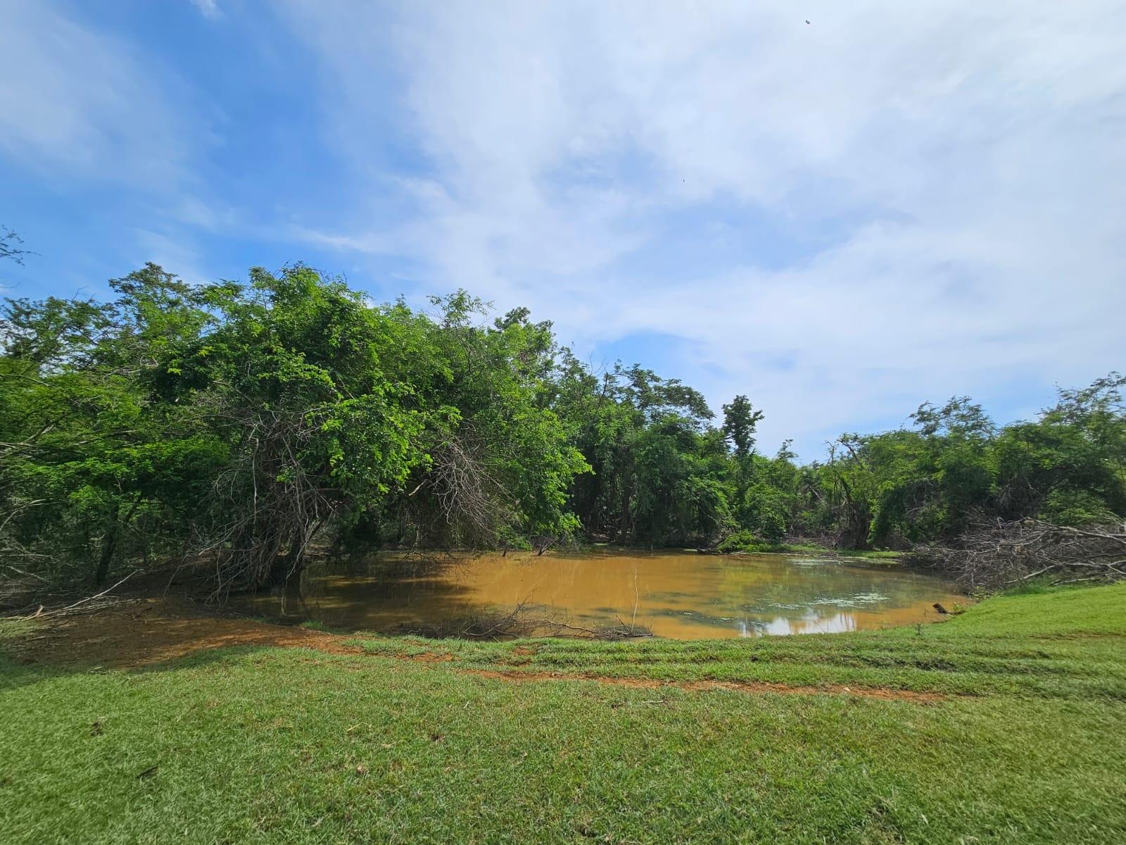 Fifteenth image of Friendship in Friendship, St. Elizabeth, Jamaica - property is For Sale