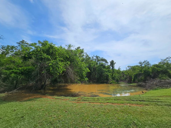 Fifteenth image of Friendship in Friendship, St. Elizabeth, Jamaica - property is For Sale