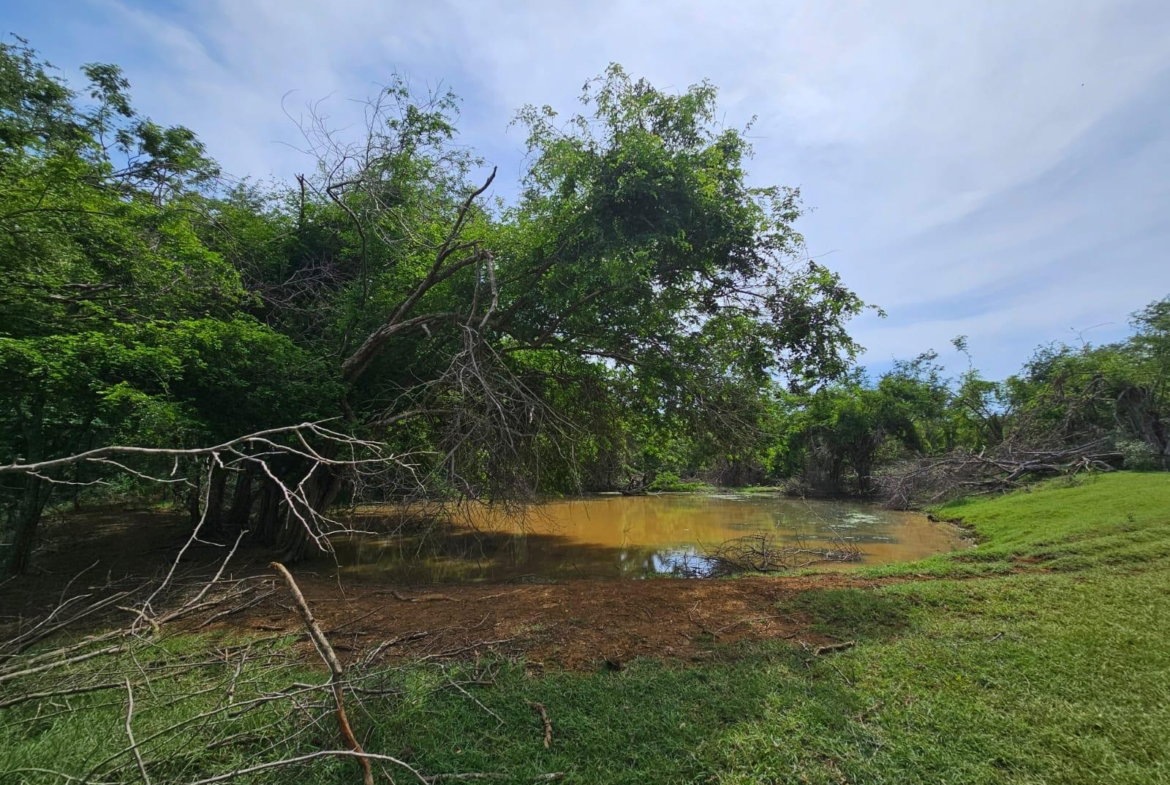 Sixteenth image of Friendship in Friendship, St. Elizabeth, Jamaica - property is For Sale