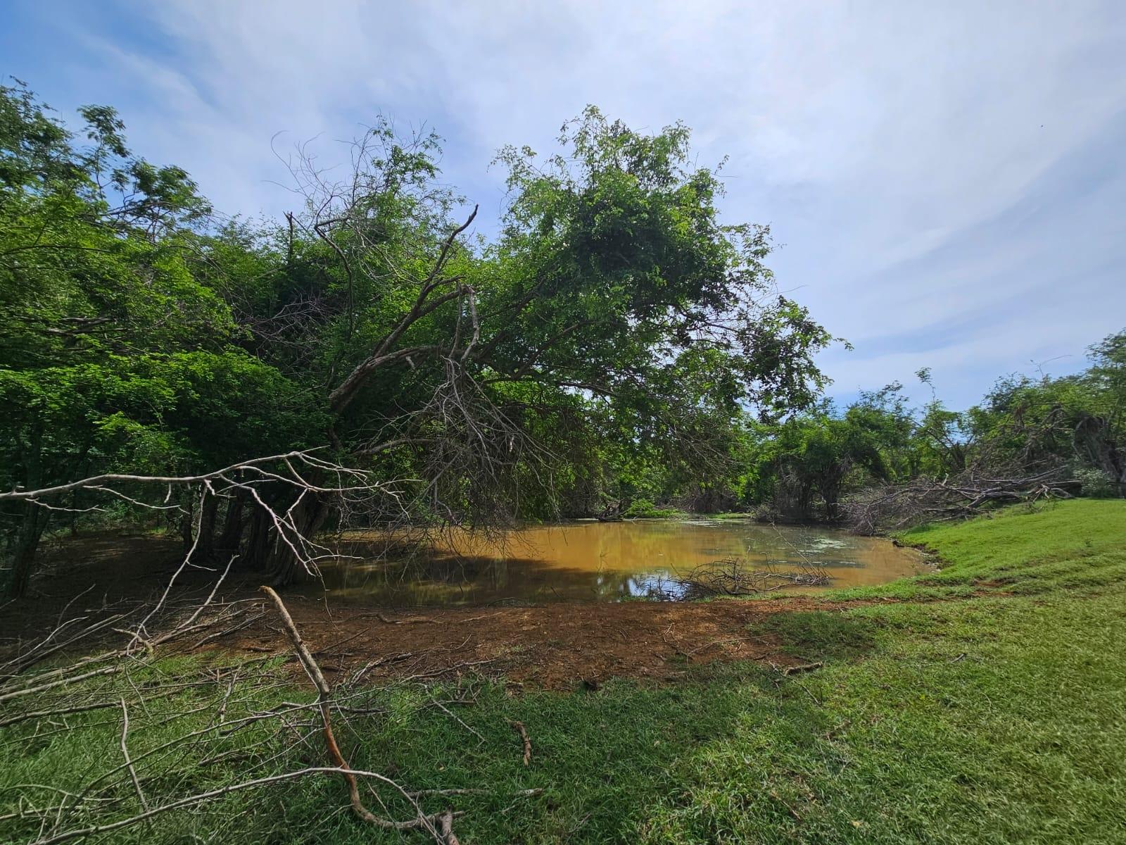 Sixteenth image of Friendship in Friendship, St. Elizabeth, Jamaica - property is For Sale