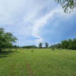 First image of Friendship in Friendship, St. Elizabeth, Jamaica - property is For Sale