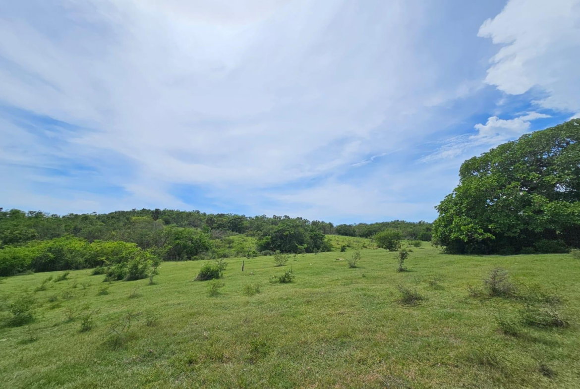Third image of Friendship in Friendship, St. Elizabeth, Jamaica - property is For Sale